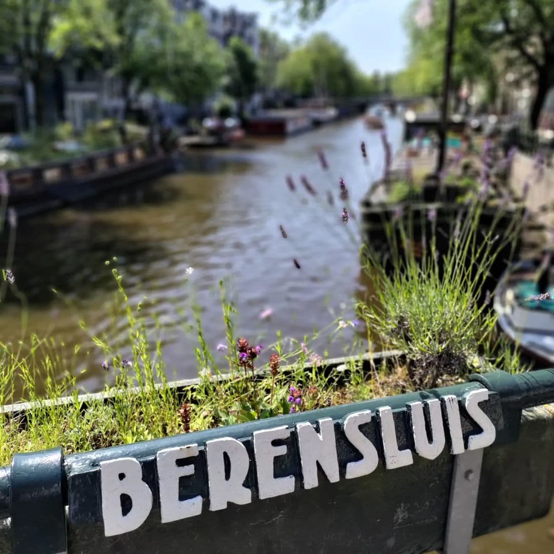 Berensluis