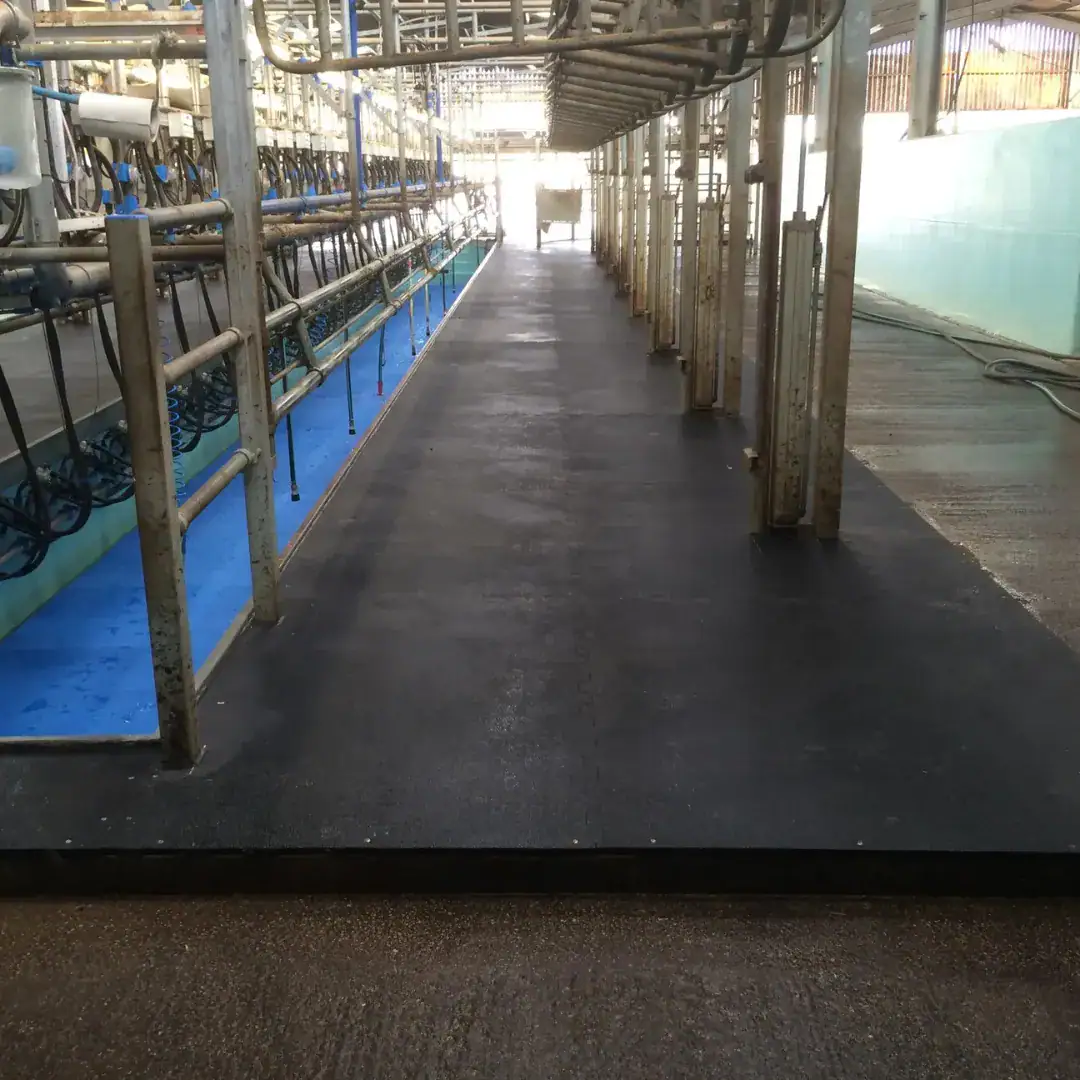 Rubber Factory Flooring in Pakistan