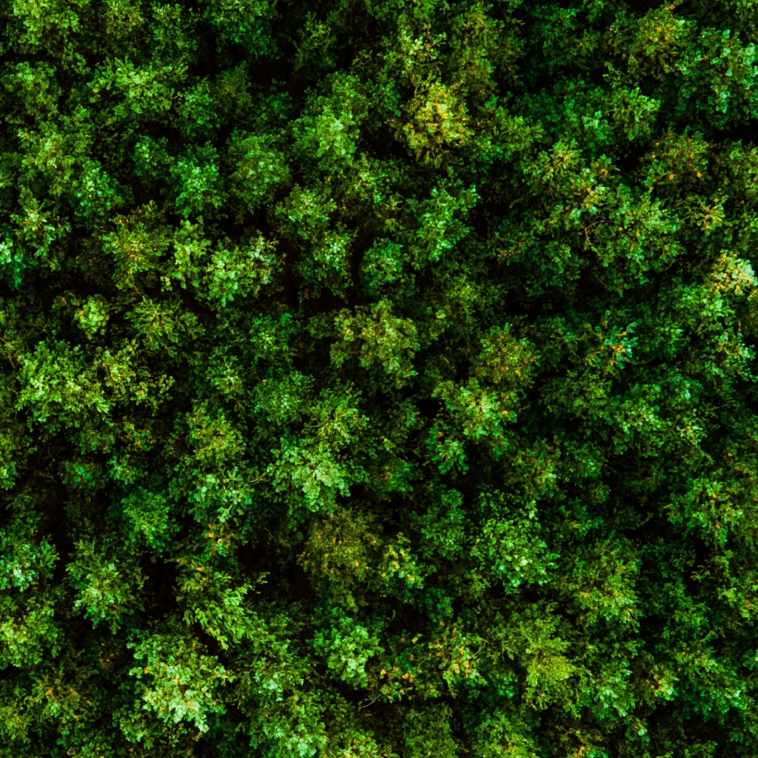 Empresa Sustentável