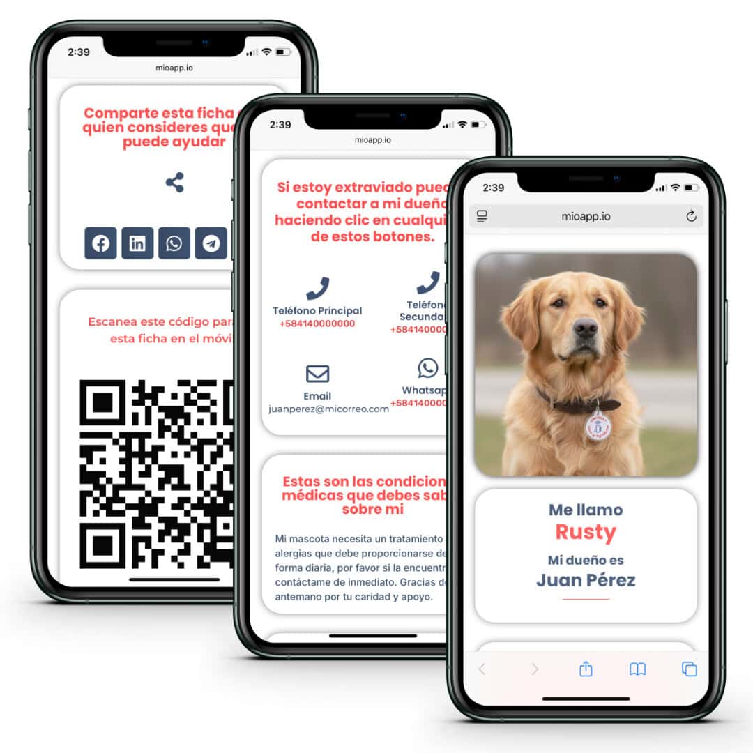 iPhone 11 - Mascota 4