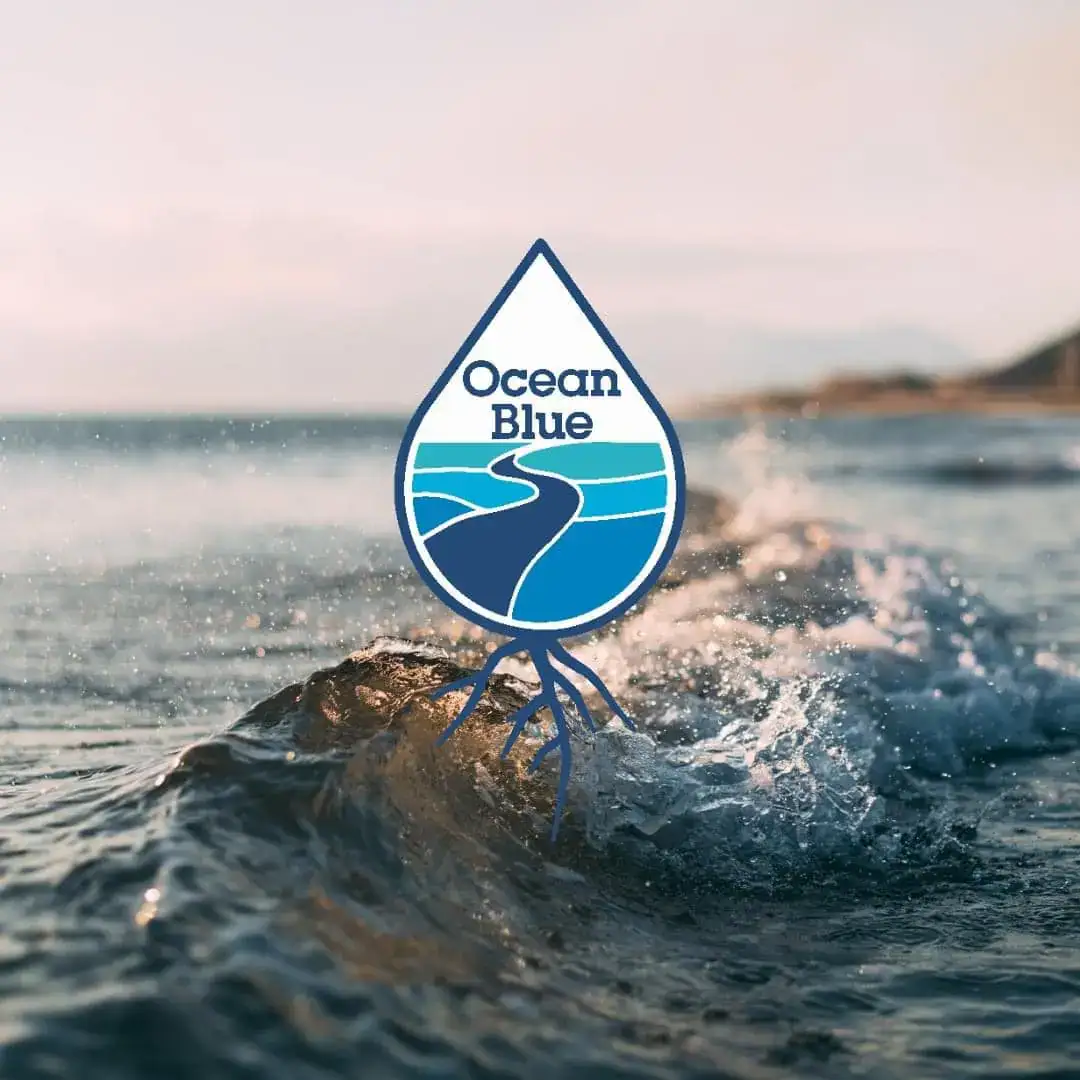 ocean-blue-project-beach-cleanup-tour