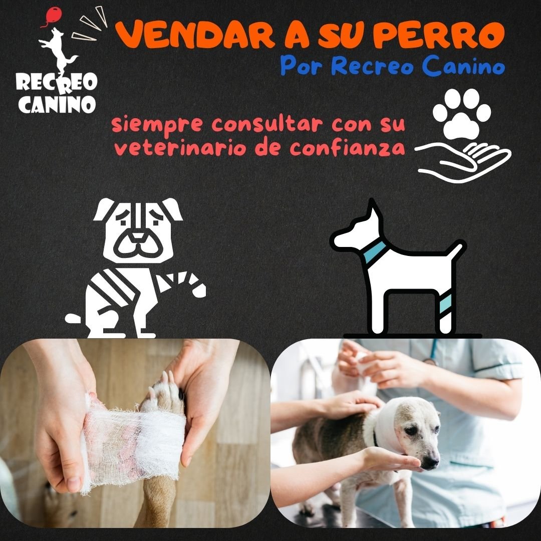 Vendar a su perro por recreo canino mascota, perro, medicamentos para mascotas, medicina para mascotas