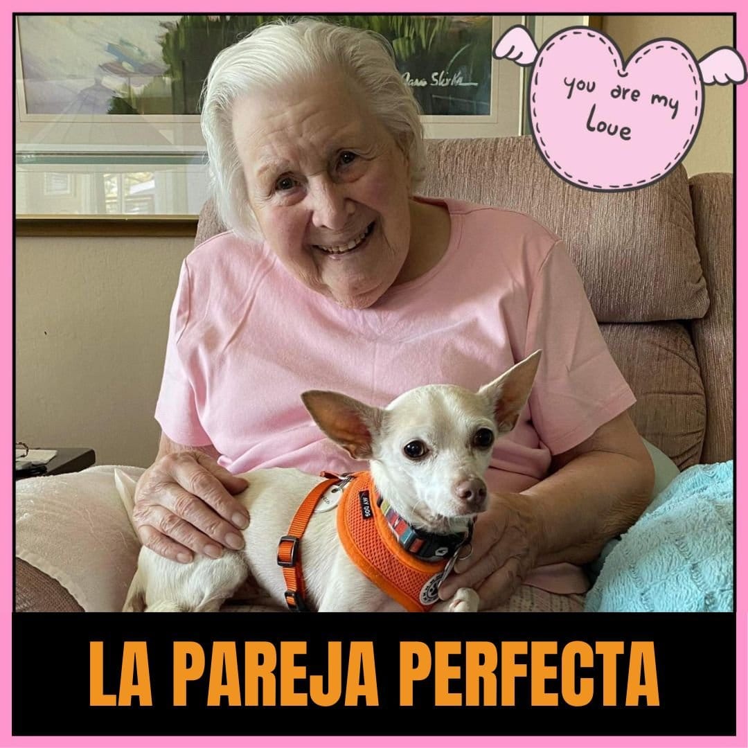 Una Pareja Perfecta Adopta un perro por recreo canino Adopta un perro