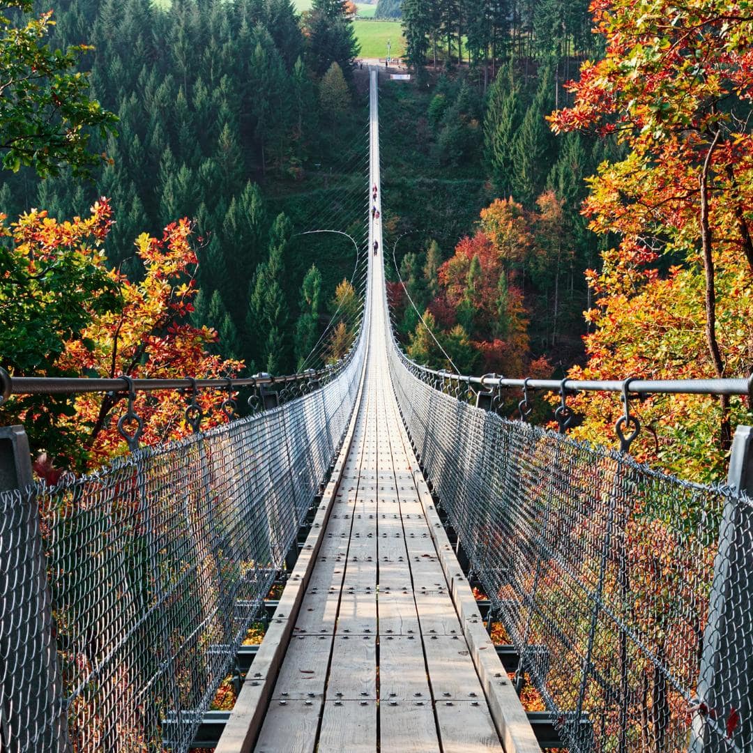 Geierlay Hängeseilbrücke in herbstlicher Umgebung – fotogener, instagrammable Spot in Deutschland