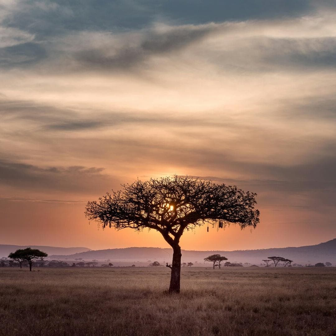 Tansania in seiner Pracht - nix-wie-weg.de