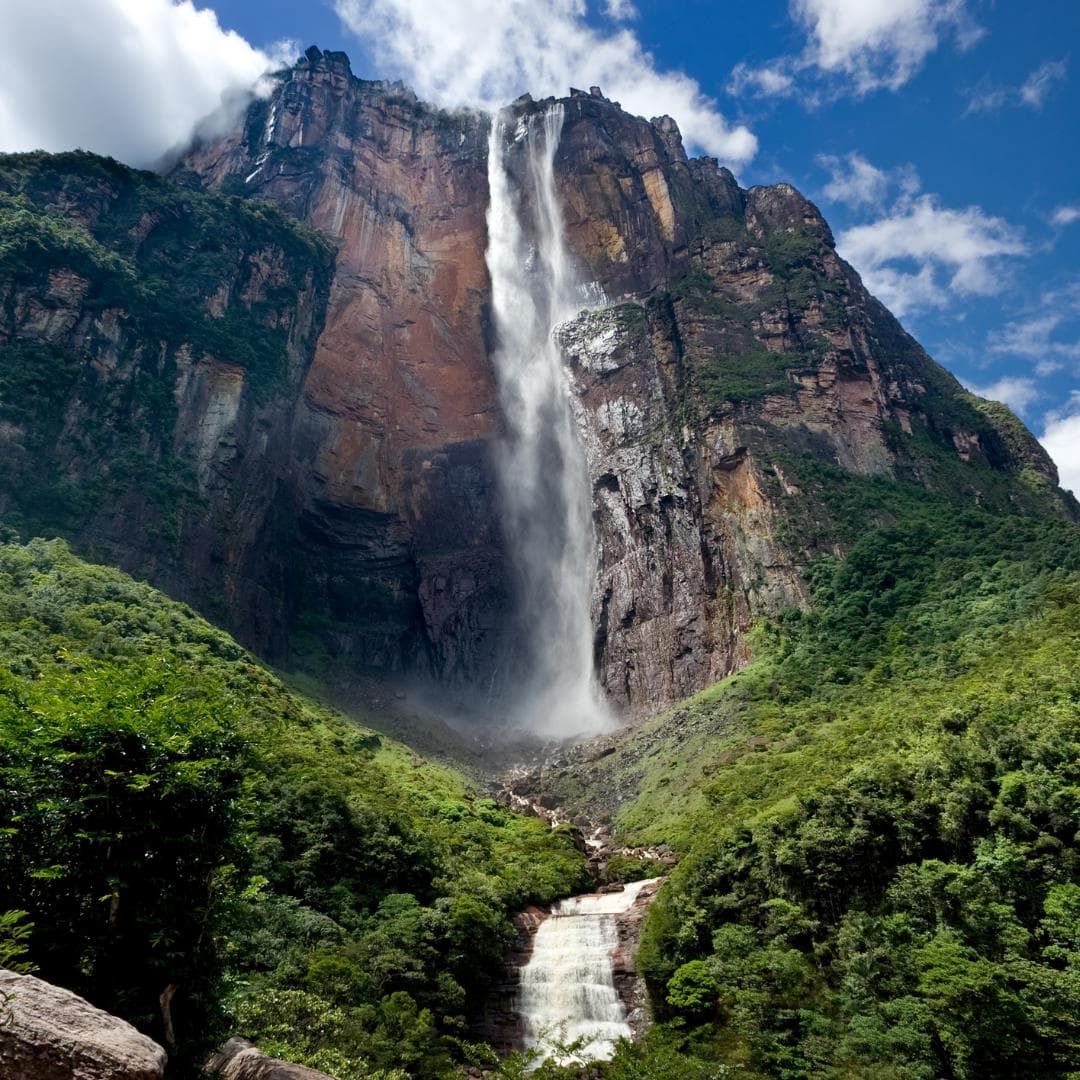 Angelfall