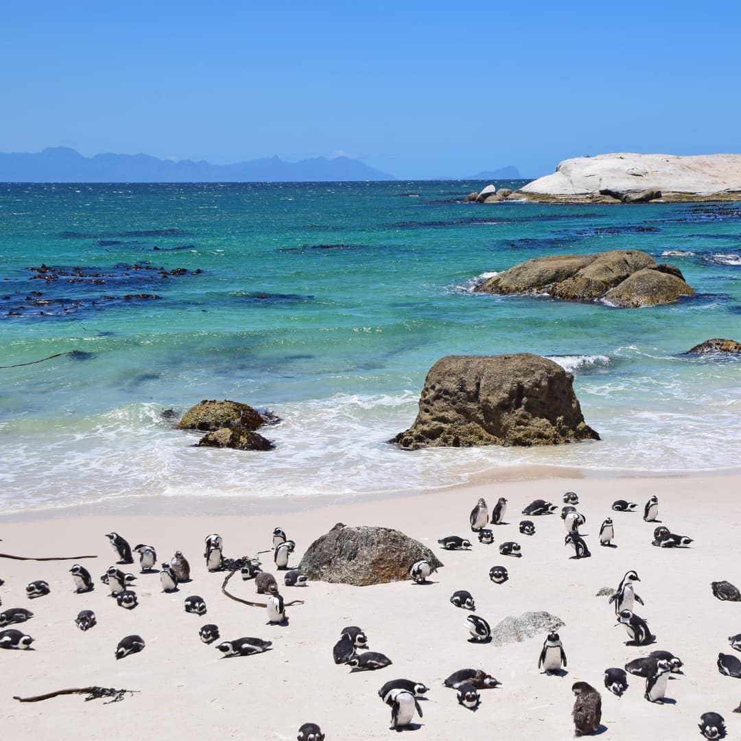 Boulders Beach - nix-wie-weg.de