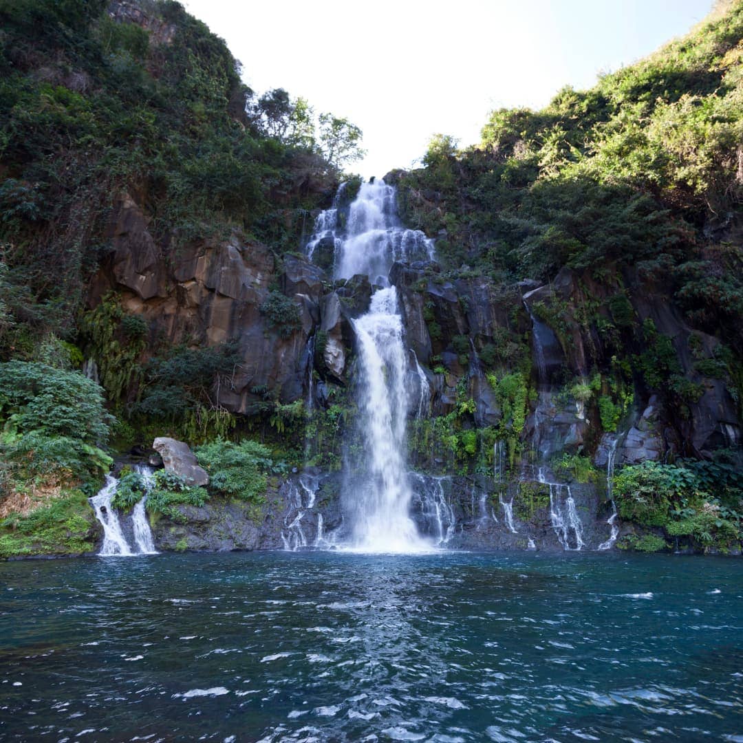 Bassin des Aigrettes, La Réunion