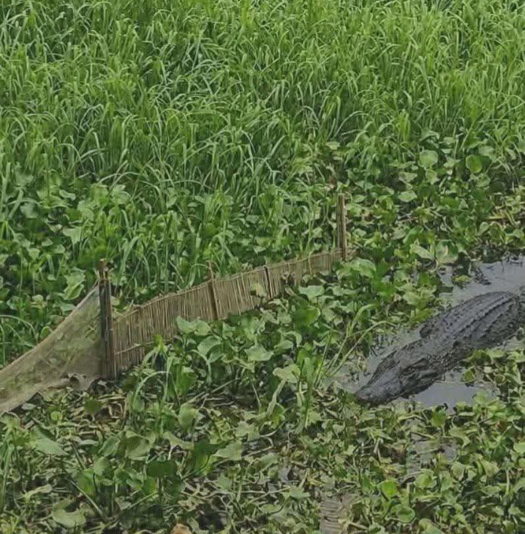  কেরানীগঞ্জ মডেল থানা এলাকায় সতর্কতা জারি
