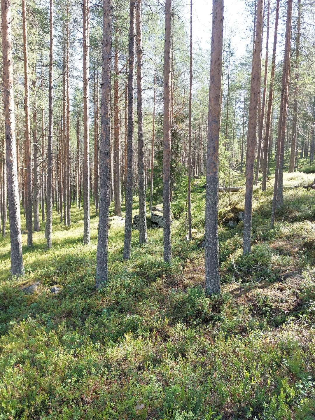 Rovaniemi