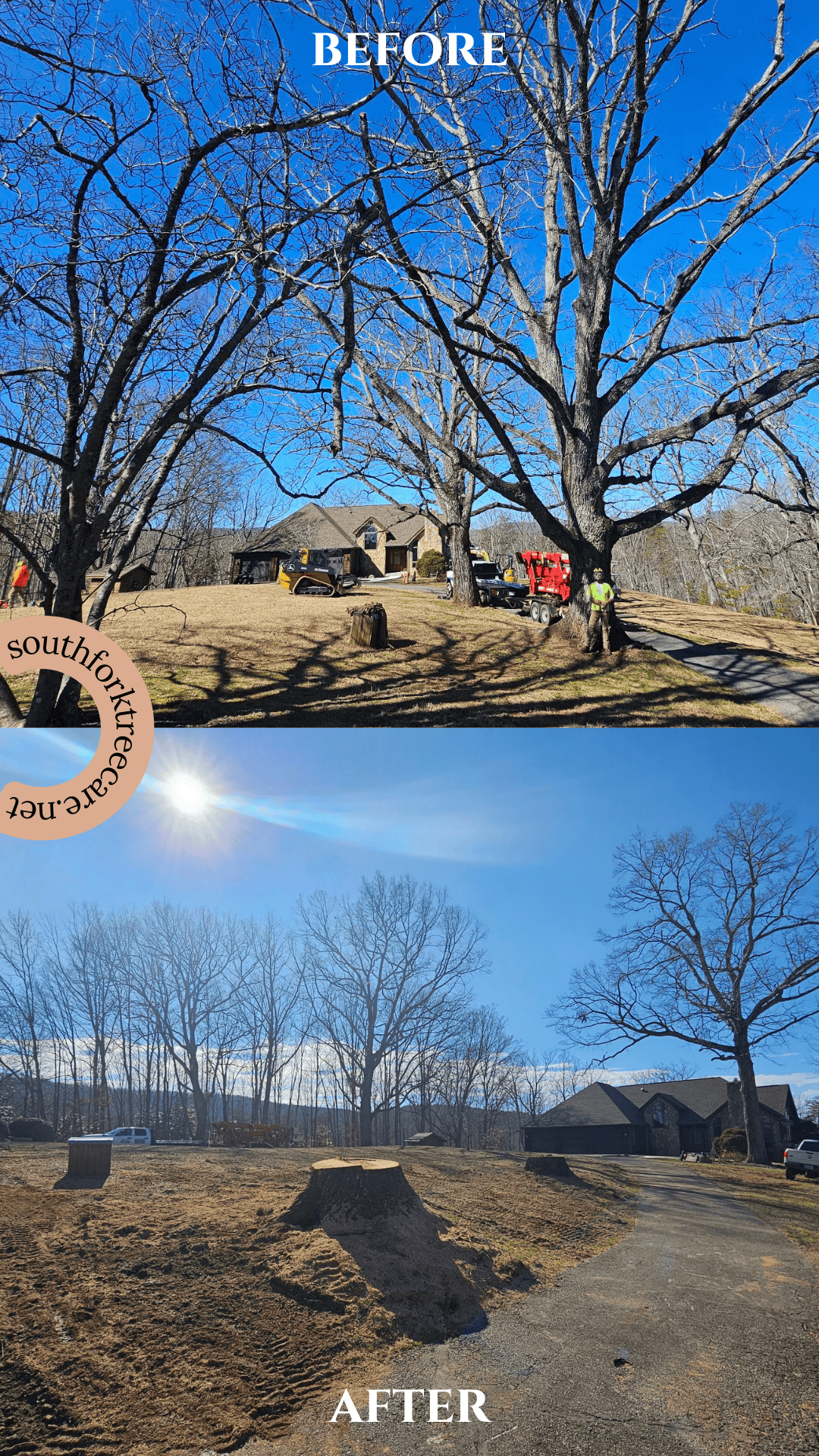 Before and after results from a tree service project
