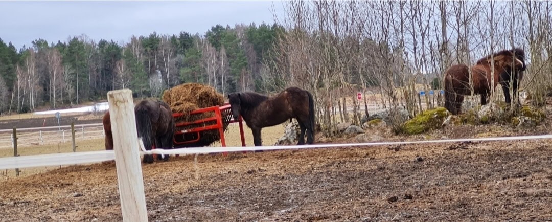 Vilka typer av bygg finns det inom ridbanor och häststall?