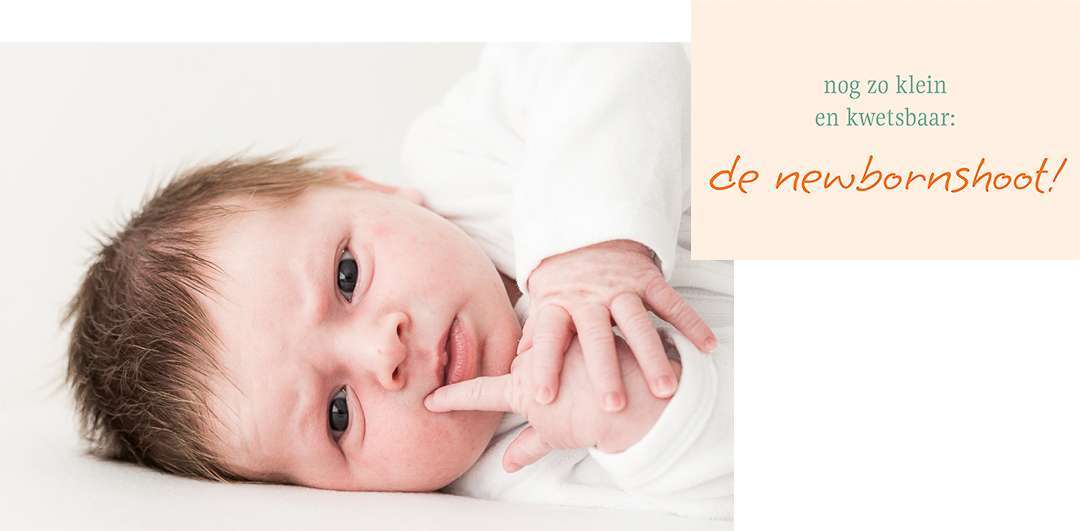 newborn shoot