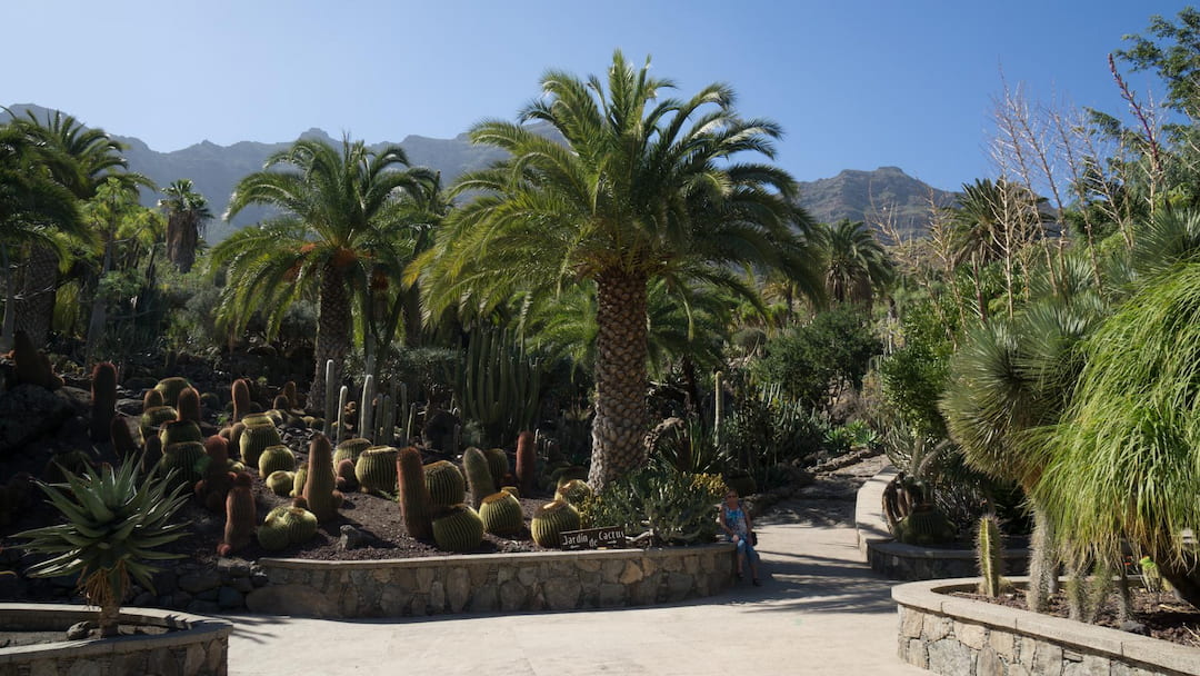 Cactualdea Park in Gran Canaria