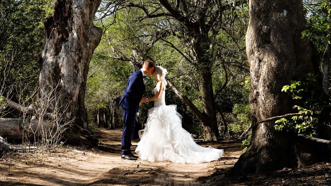 andbeyond wedding safari special