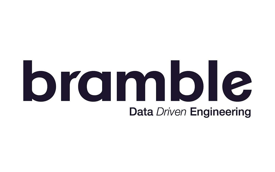 bramble logo. CFD simulation experience