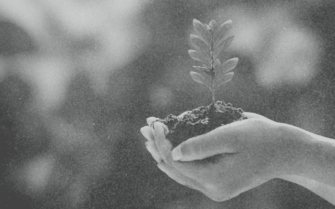 Our Commitment to Sustainable Events and Inclusive Event Planning
