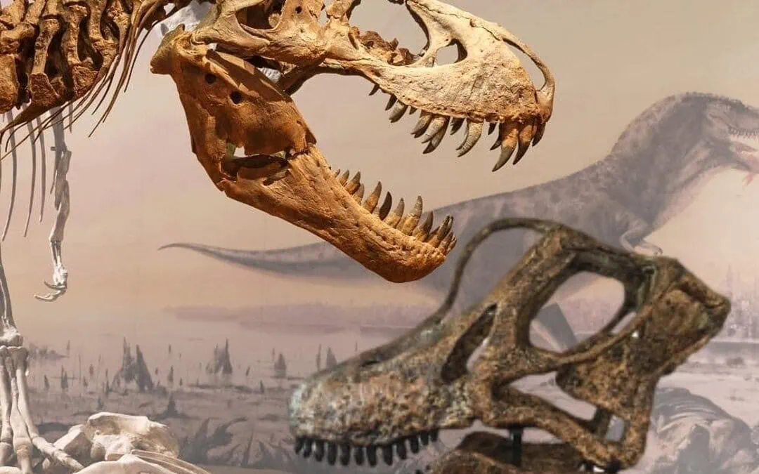 Dinosaur Teeth: A Closer Look at Nature’s Most Amazing Chompers!