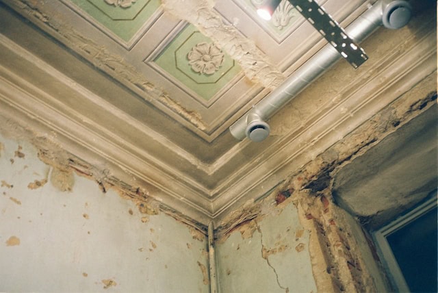 mold remediation