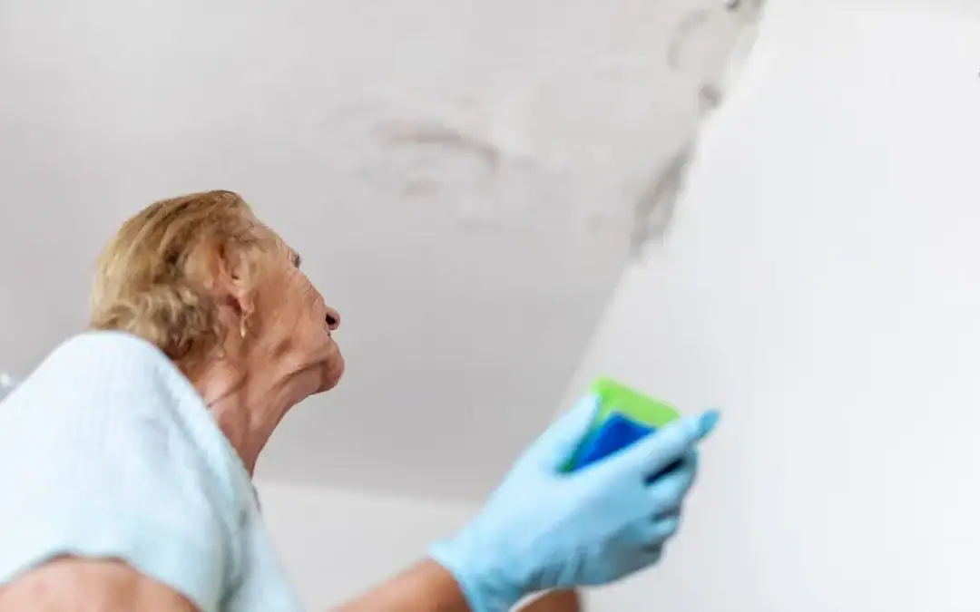 How Long Does It Take for Mold to Grow After Water Damage?