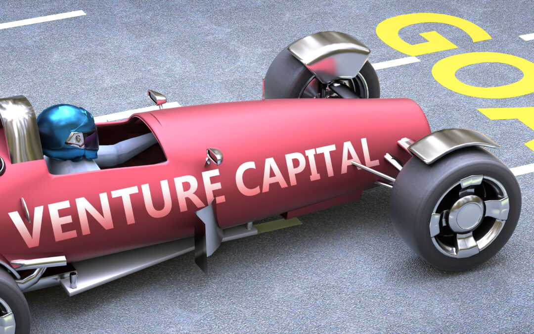 No Venture Capital?