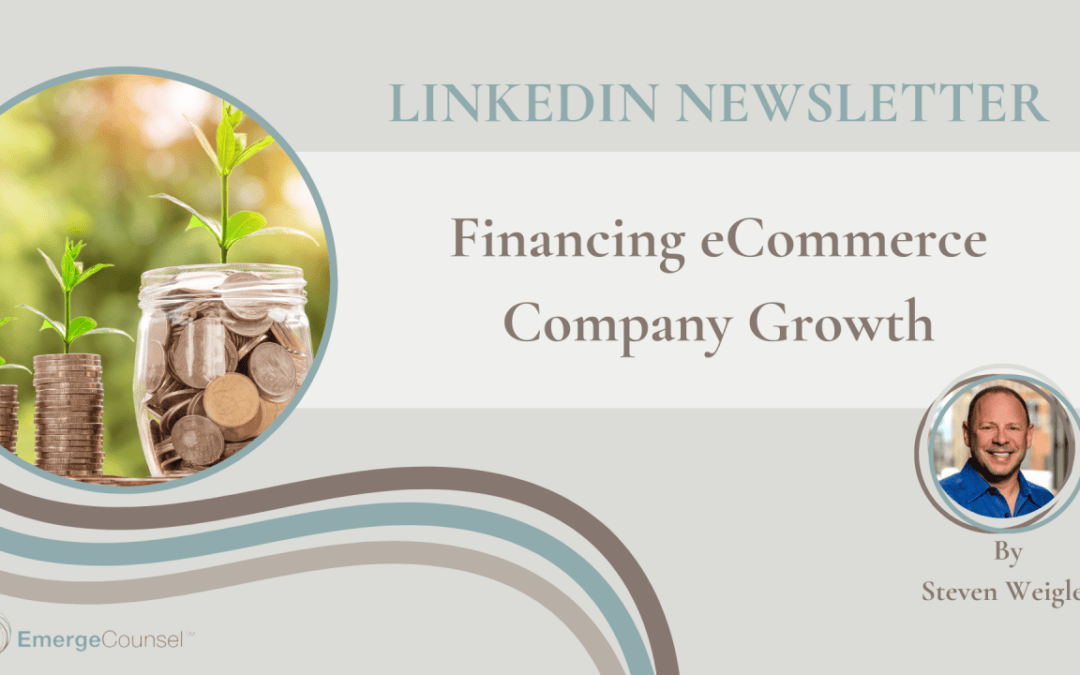 Financing eCommerce Company Growth