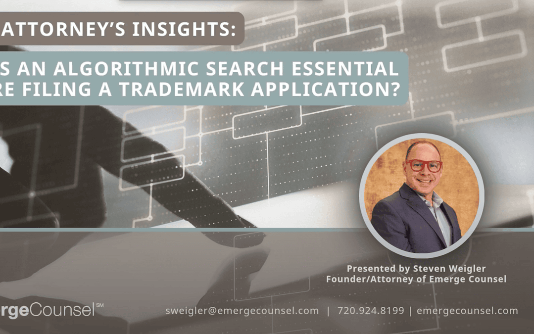 Algorithmic Search is Essential Before Filing a Trademark Application