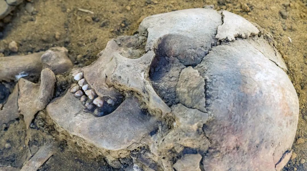 O que acontece depois da morte?