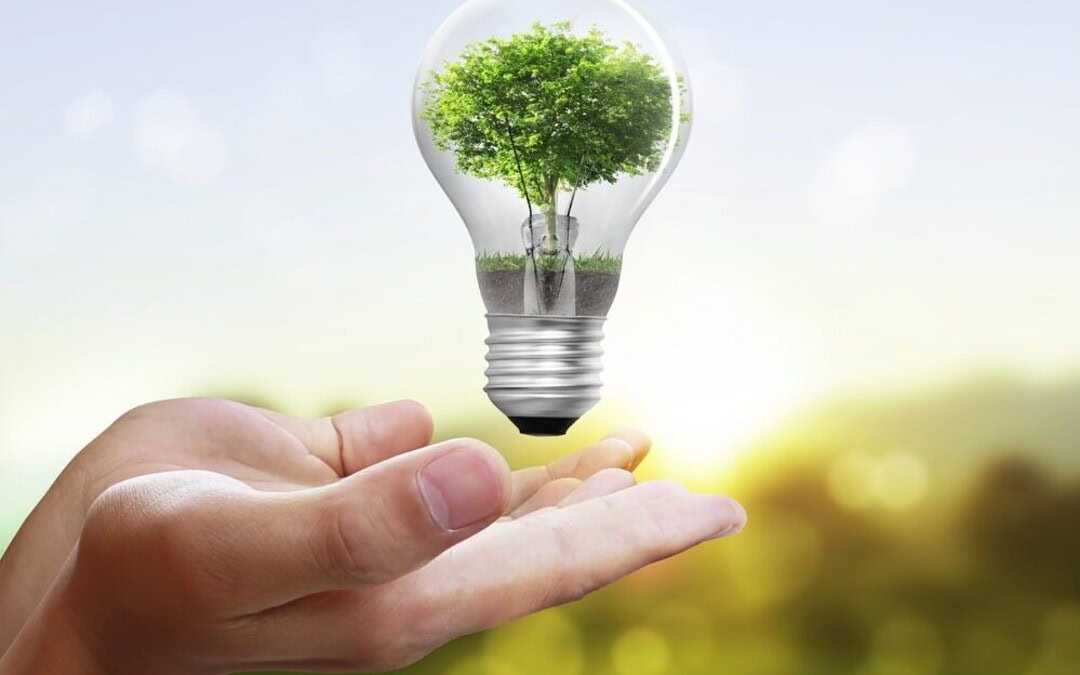 Energy Consumption in Nurseries