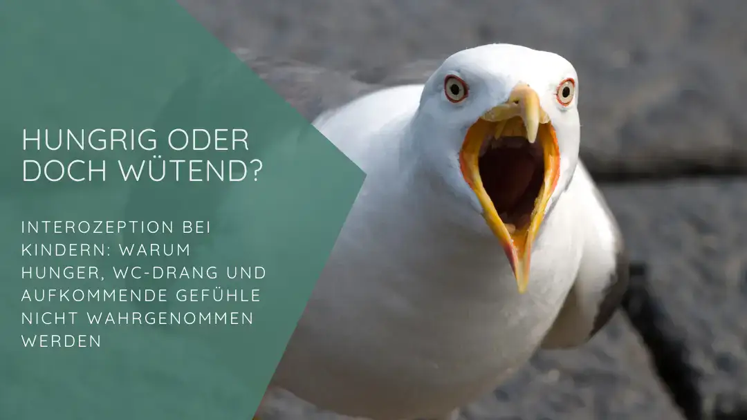 Vogel mit offenem Mund, sieht wütend aus oder doch hungrig: Interozeption bei Kindern