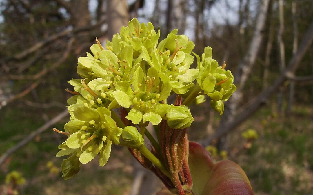 Schraub, schraub, klopf, klopf. – Was ist denn da los?