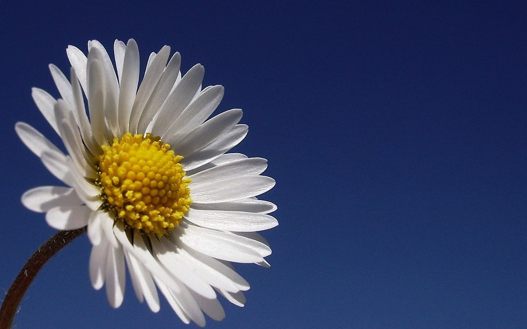 Ein Wahnsinns-Sommer 2018