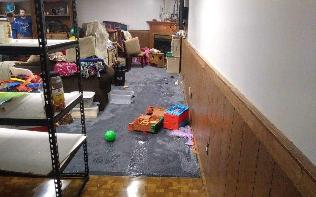 5 Ways to Reduce the Risk of Mold in Your Damp Basement / Crawlspace