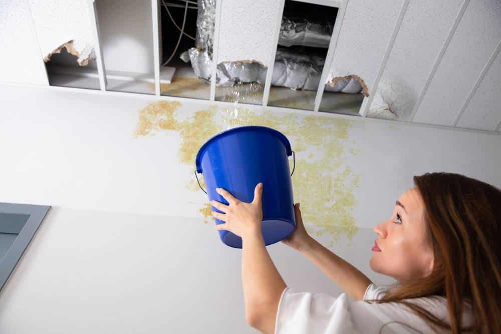 Steps to Take After Discovering Water Damage in Your Eastern CT Home