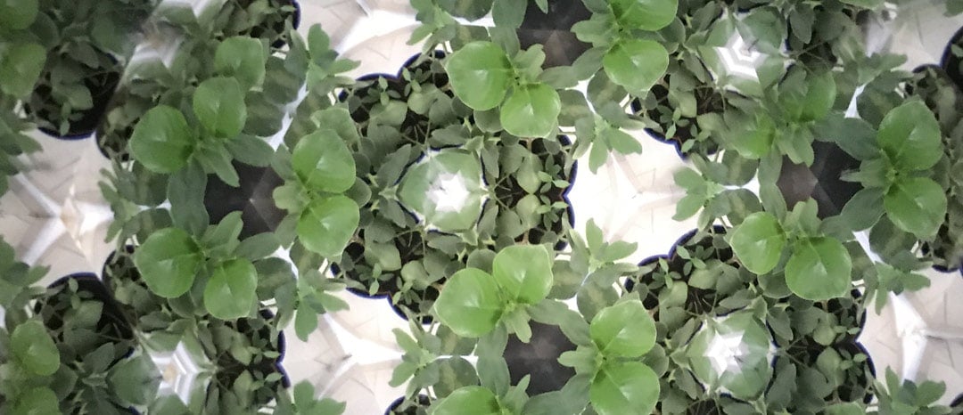 SG #197 – Gewerkschaft und Betriebsrat