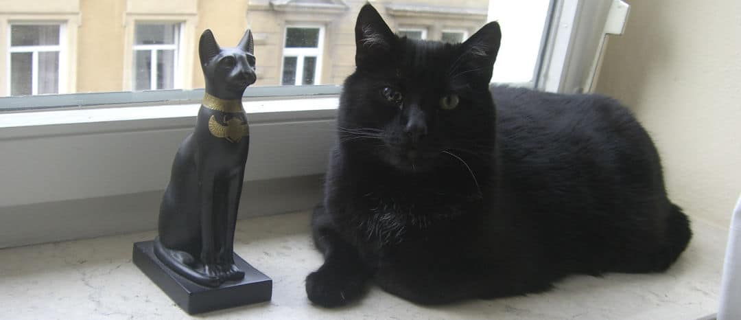 Aberglaube in Deutschland – SG #209