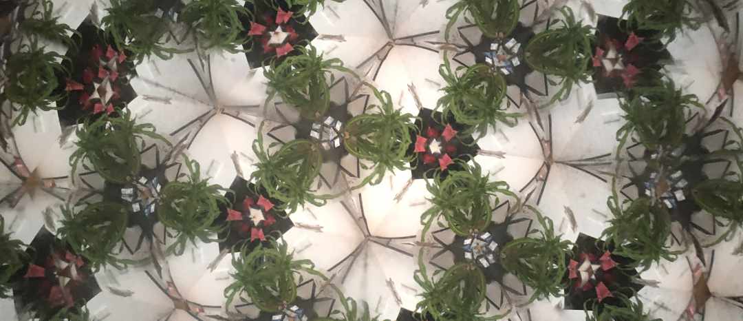 Bild: Larissa Vassilian