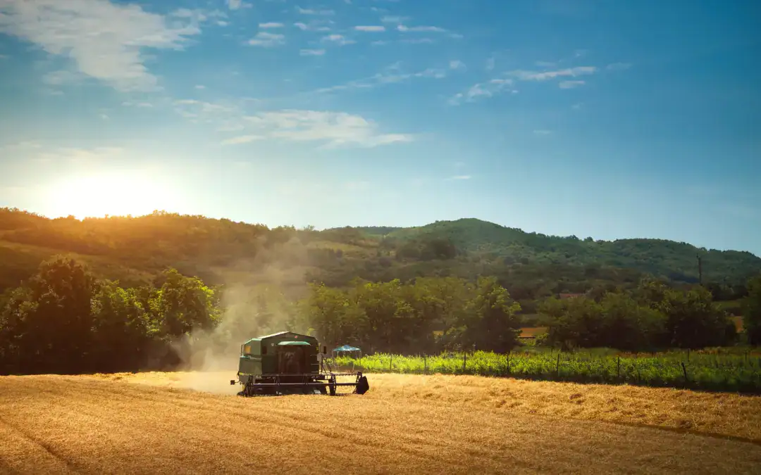 Agroingenieros denuncia que el nuevo programa de nitratos de Murcia excluye a los ingenieros agrónomos