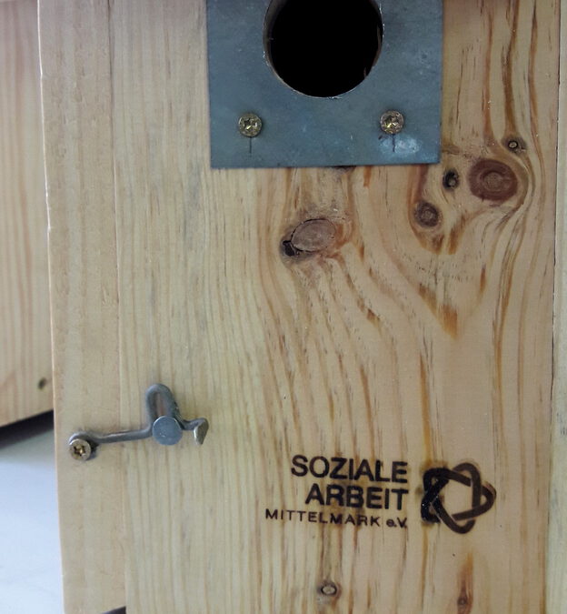 Neues Projekt: AGH Maßnahme Holzwerkstatt