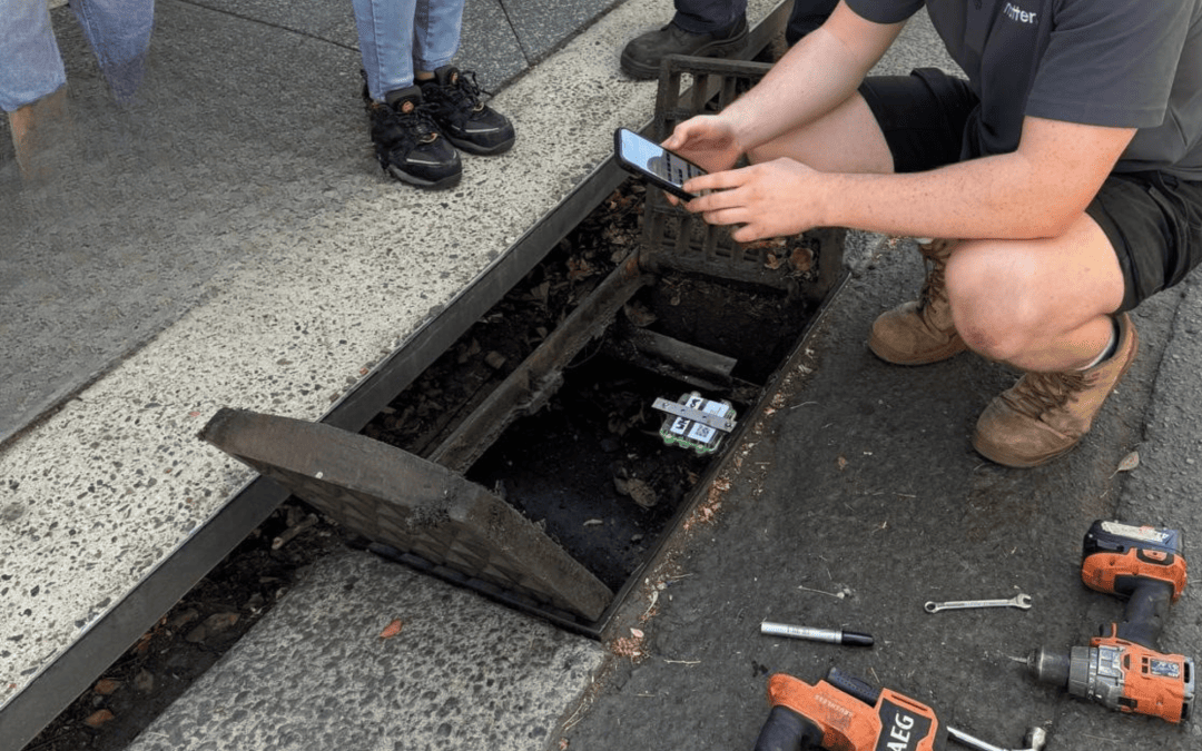 From Pipes to Pixels: Empowering Councils with Stormwater IoT and Digital Twin Strategies