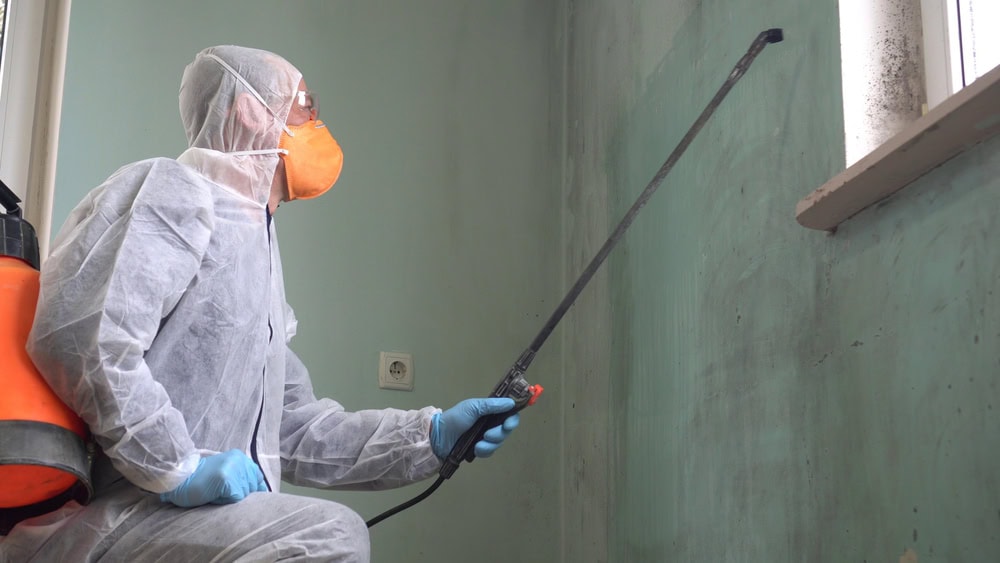 Mold-Growth-in-Alpharetta-The-Mold-Assassins-Mold-Removal-Services.