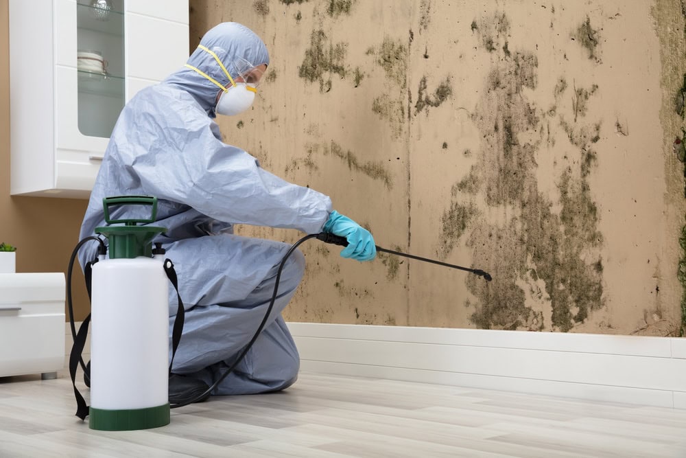 Mold-Remediation-for-Commercial-Spaces-in-Alpharetta.
