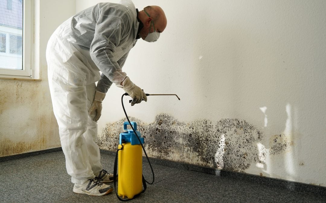 mold prevention