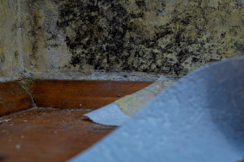 Mold-Remediation-for-Commercial-Spaces-in-Alpharetta.