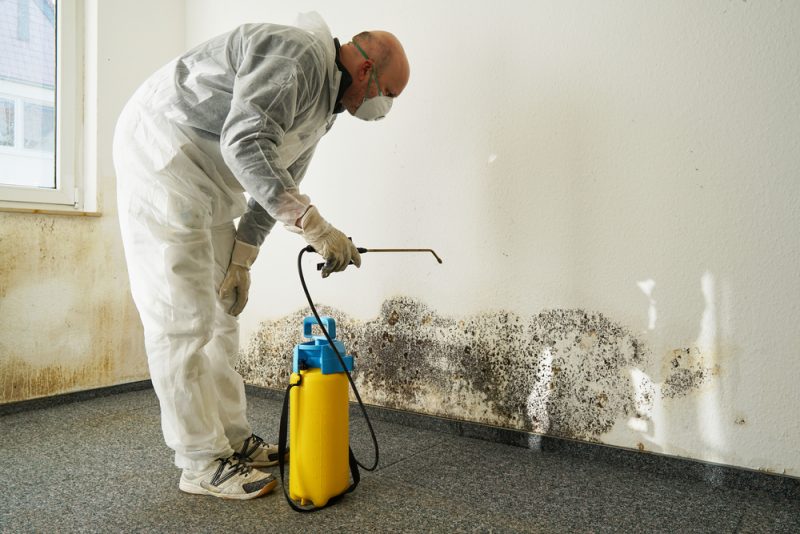 Mold-and-Health-Understanding-the-Connection-for-Alpharetta-Residents-The-Mold-Assassins