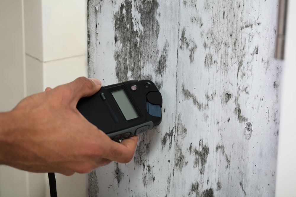 Mold-and-Insurance-A-Guide-for-Alpharetta-Homeowners-The-Mold-Assassins.