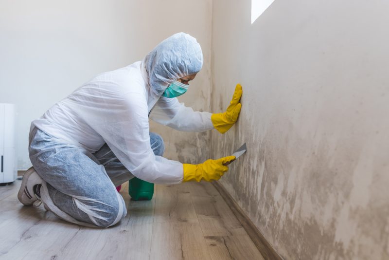 Understanding-Mold-Testing-A-Guide-for-Alpharetta-Residents