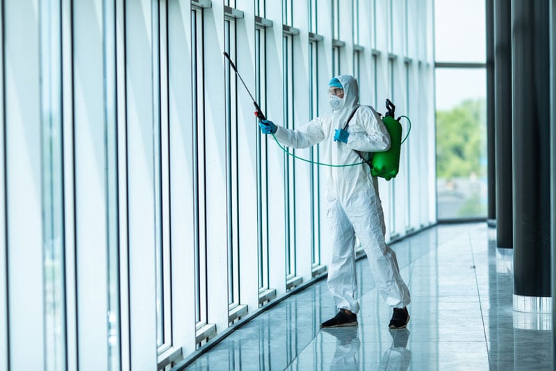 mold remediation
