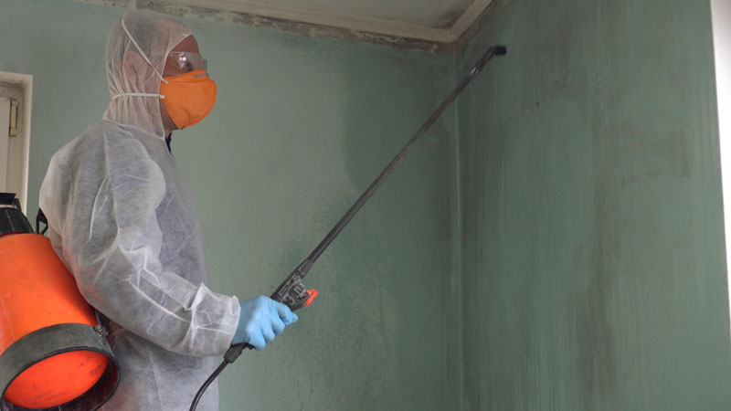 Air Quality Testing Services For Mold