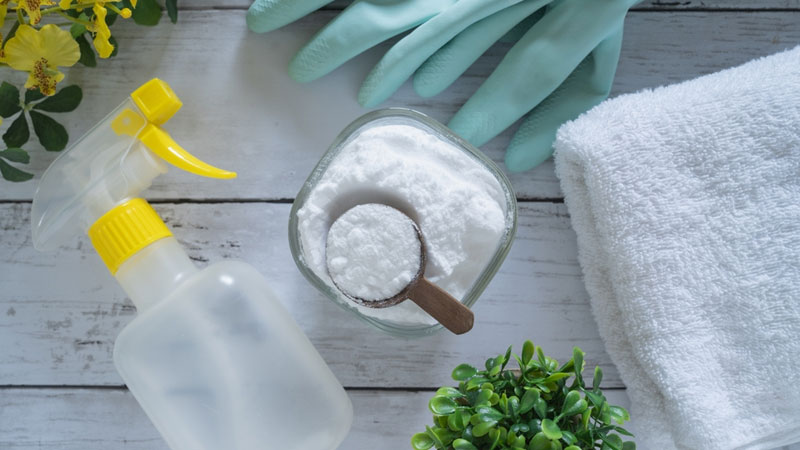 baking soda kill mold